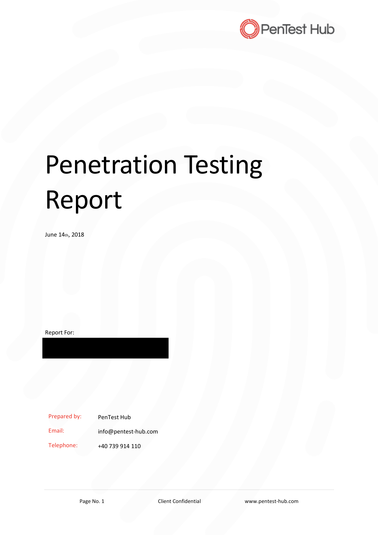web pentesting report